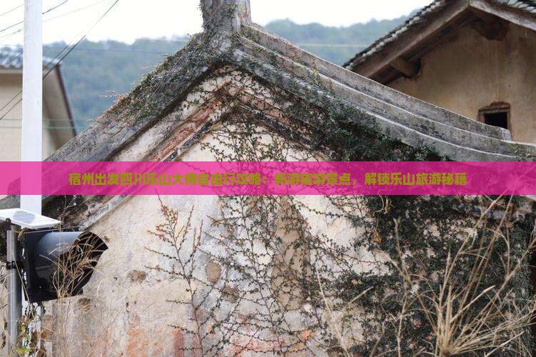 宿州出发四川乐山大佛自由行攻略：畅游旅游景点，解锁乐山旅游秘籍