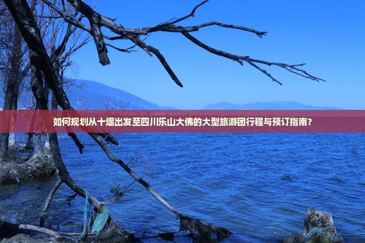 如何规划从十堰出发至四川乐山大佛的大型旅游团行程与预订指南？