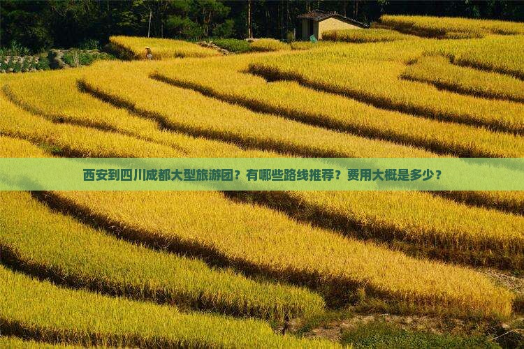 西安到四川成都大型旅游团？有哪些路线推荐？费用大概是多少？