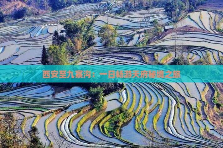 西安至九寨沟：一日畅游天府秘境之旅