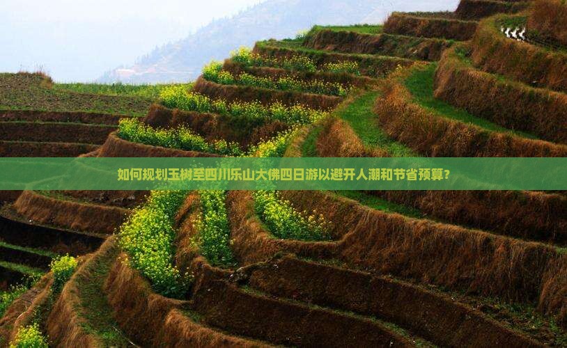 如何规划玉树至四川乐山大佛四日游以避开人潮和节省预算？