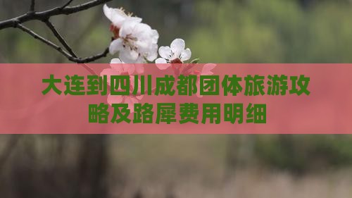 大连到四川成都团体旅游攻略及路犀费用明细