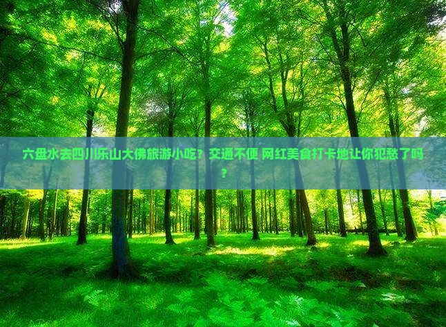 六盘水去四川乐山大佛旅游小吃？交通不便+网红美食打卡地让你犯愁了吗？