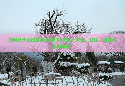如何从长葛出发游览四川青城山：交通、住宿、美食与旅游攻略？