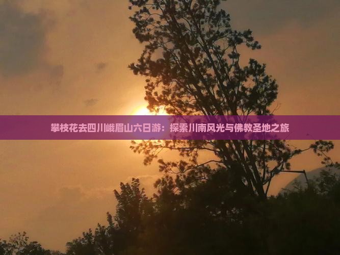 攀枝花去四川峨眉山六日游：探索川南风光与佛教圣地之旅