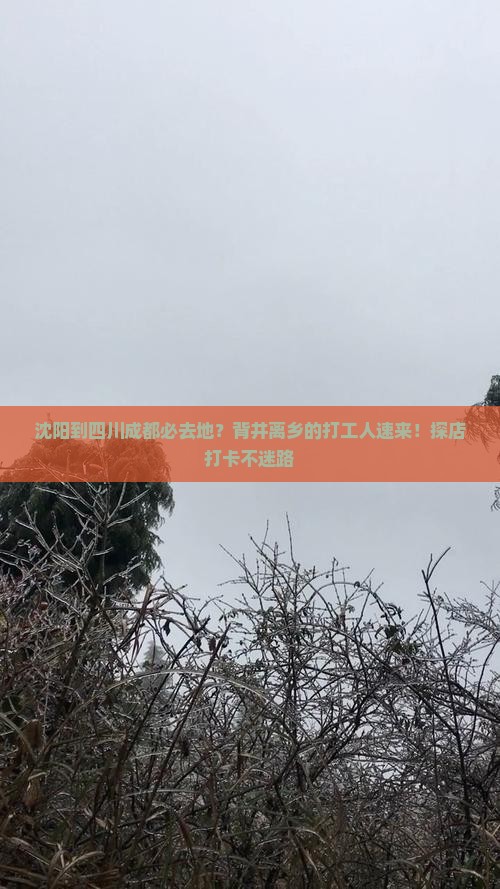 沈阳到四川成都必去地？背井离乡的打工人速来！探店打卡不迷路