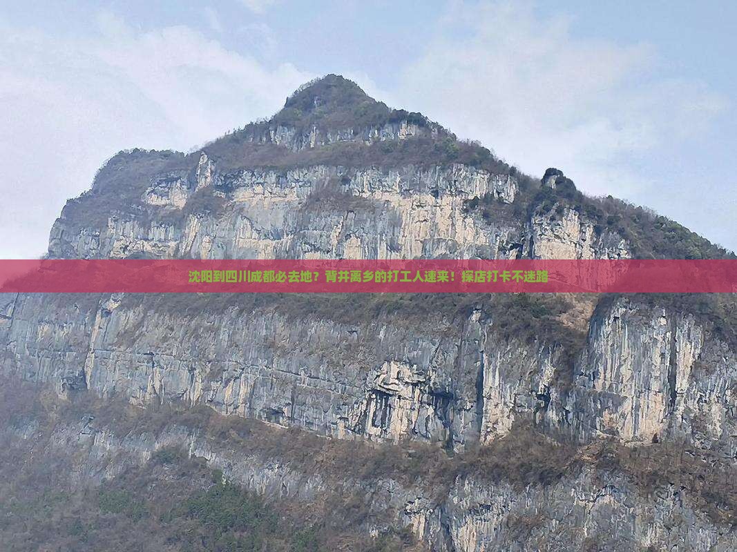 沈阳到四川成都必去地？背井离乡的打工人速来！探店打卡不迷路