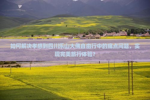 如何解决孝感到四川乐山大佛自由行中的痛点问题，实现完美旅行体验？