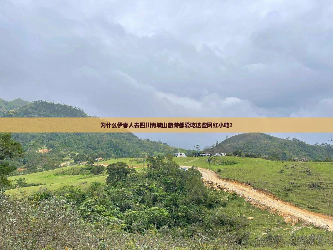 为什么伊春人去四川青城山旅游都爱吃这些网红小吃？