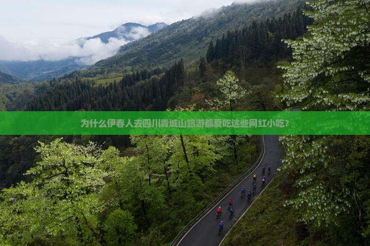 为什么伊春人去四川青城山旅游都爱吃这些网红小吃？