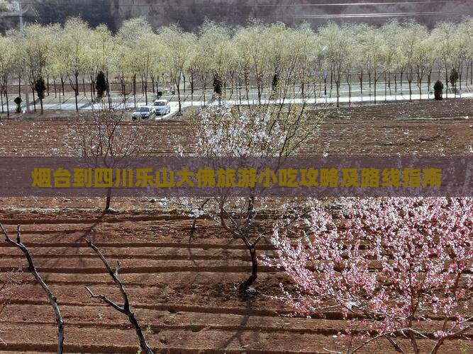 烟台到四川乐山大佛旅游小吃攻略及路线指南