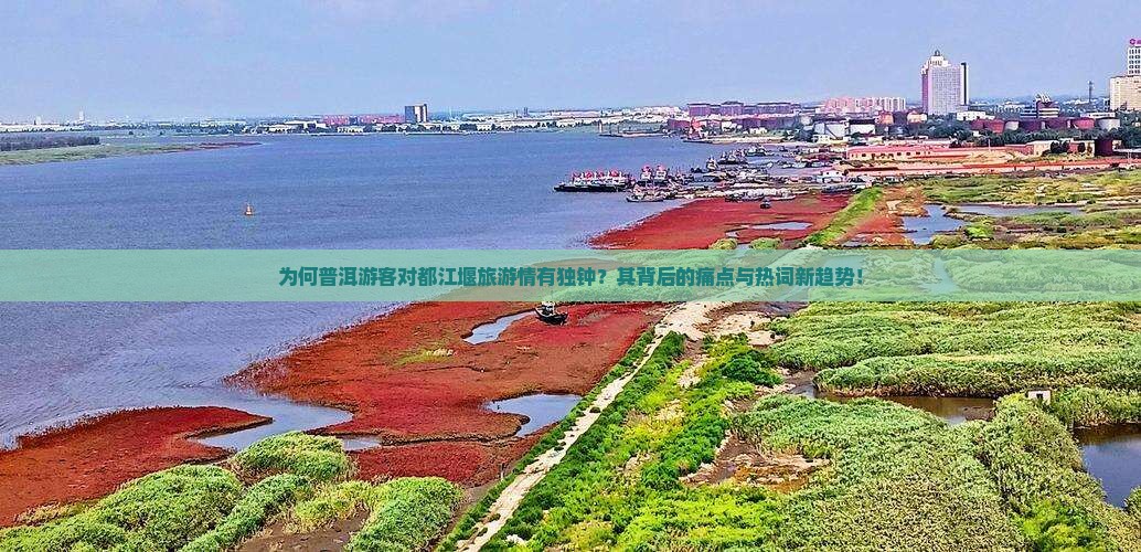 为何普洱游客对都江堰旅游情有独钟？其背后的痛点与热词新趋势！
