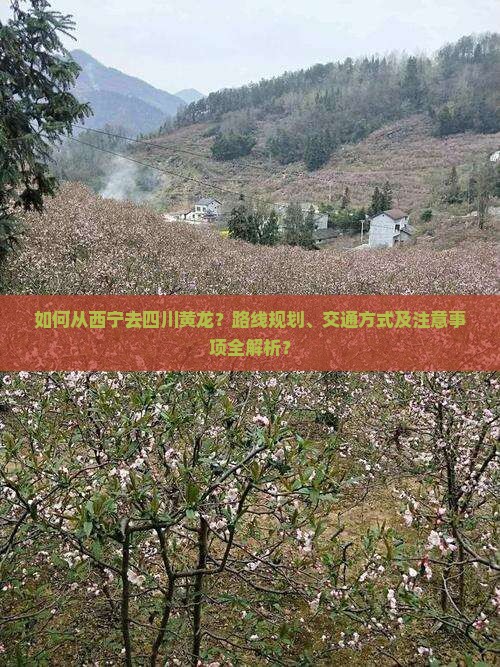 如何从西宁去四川黄龙？路线规划、交通方式及注意事项全解析？
