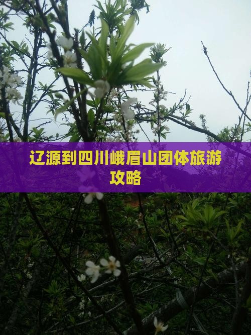 辽源到四川峨眉山团体旅游攻略