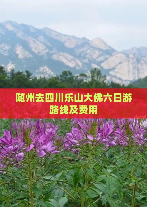 随州去四川乐山大佛六日游路线及费用