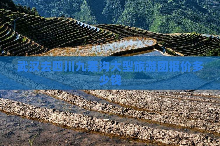 武汉去四川九寨沟大型旅游团报价多少钱