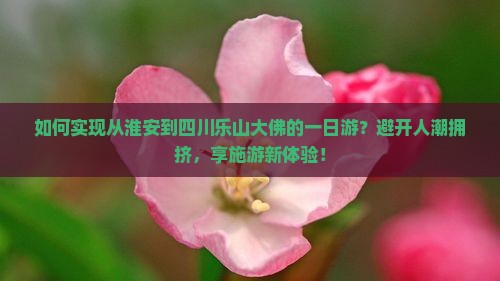 如何实现从淮安到四川乐山大佛的一日游？避开人潮拥挤，享施游新体验！