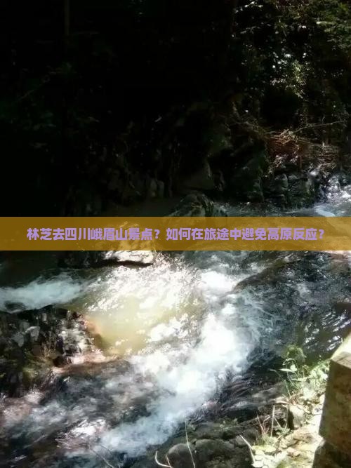 林芝去四川峨眉山景点？如何在旅途中避免高原反应？