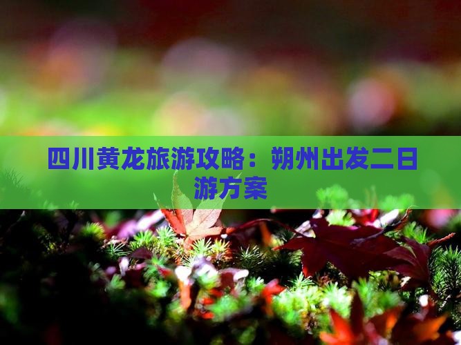 四川黄龙旅游攻略：朔州出发二日游方案
