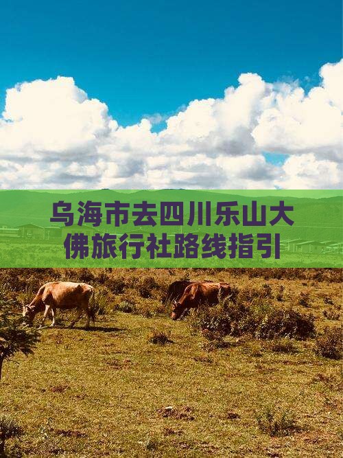 乌海市去四川乐山大佛旅行社路线指引