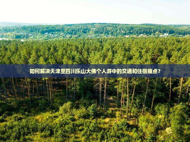 如何解决天津至四川乐山大佛个人游中的交通和住宿痛点？