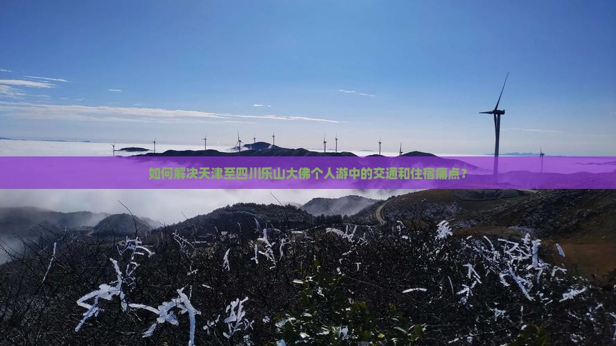 如何解决天津至四川乐山大佛个人游中的交通和住宿痛点？
