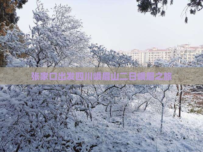 张家口出发四川峨眉山二日峨眉之旅