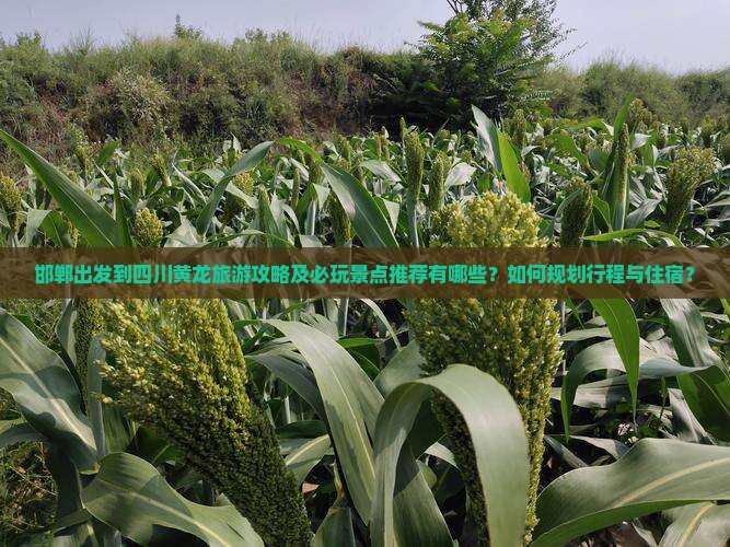 邯郸出发到四川黄龙旅游攻略及必玩景点推荐有哪些？如何规划行程与住宿？
