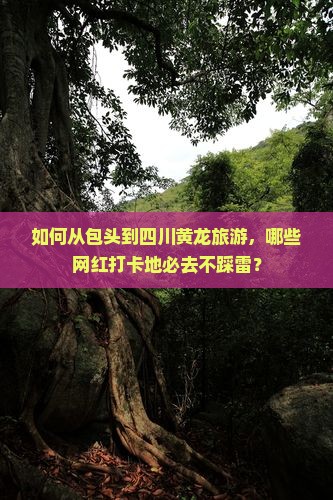 如何从包头到四川黄龙旅游，哪些网红打卡地必去不踩雷？