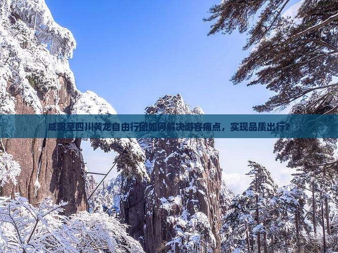 咸阳至四川黄龙自由行团如何解决游客痛点，实现品质出行？