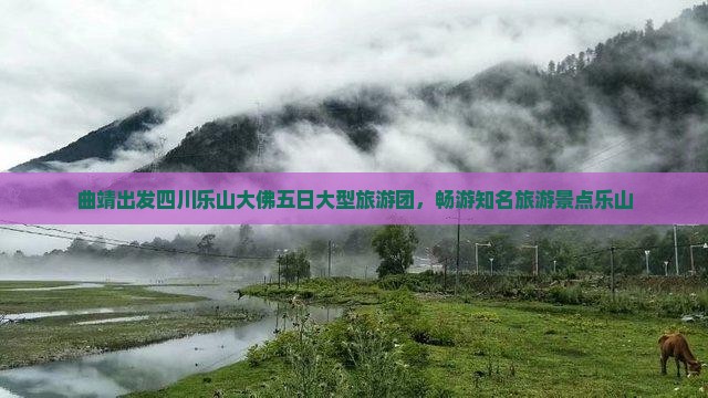 曲靖出发四川乐山大佛五日大型旅游团，畅游知名旅游景点乐山