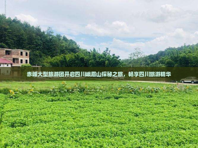赤峰大型旅游团开启四川峨眉山探秘之旅，畅享四川旅游精华