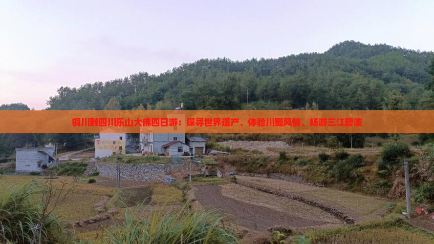 铜川到四川乐山大佛四日游：探寻世界遗产、体验川蜀风情、畅游三江碧波