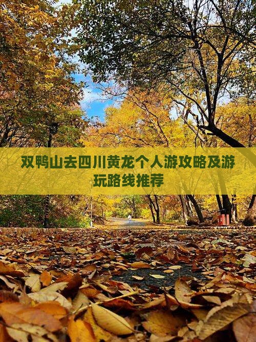 双鸭山去四川黄龙个人游攻略及游玩路线推荐