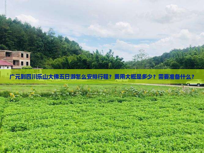 广元到四川乐山大佛五日游怎么安排行程？费用大概是多少？需要准备什么？