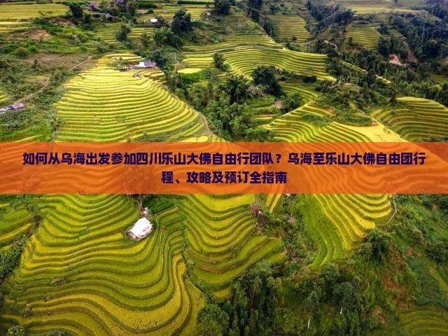 如何从乌海出发参加四川乐山大佛自由行团队？乌海至乐山大佛自由团行程、攻略及预订全指南