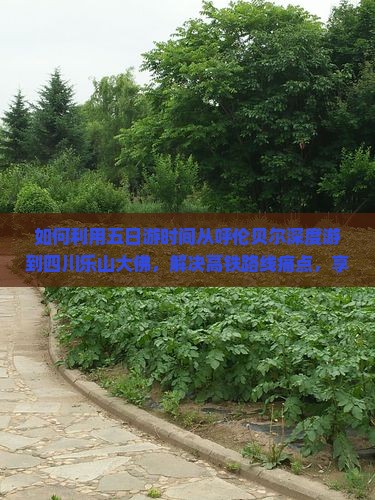 如何利用五日游时间从呼伦贝尔深度游到四川乐山大佛，解决高铁路线痛点，享受佛文化旅游新体验？