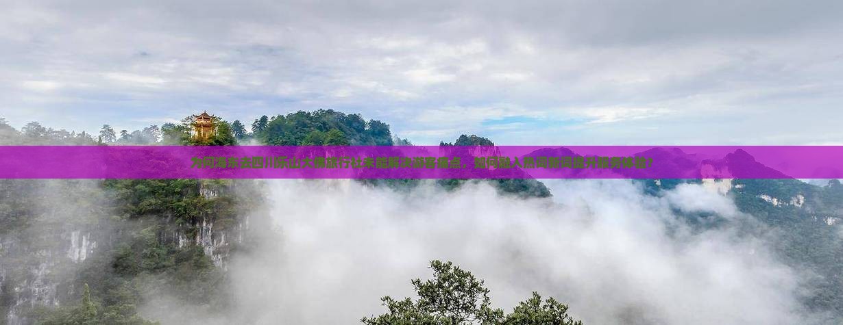 为何海东去四川乐山大佛旅行社未能解决游客痛点，如何融入热词新词提升服务体验？