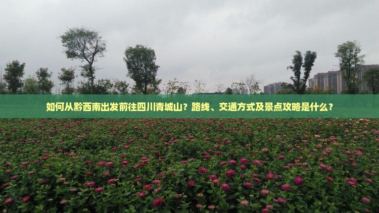 如何从黔西南出发前往四川青城山？路线、交通方式及景点攻略是什么？