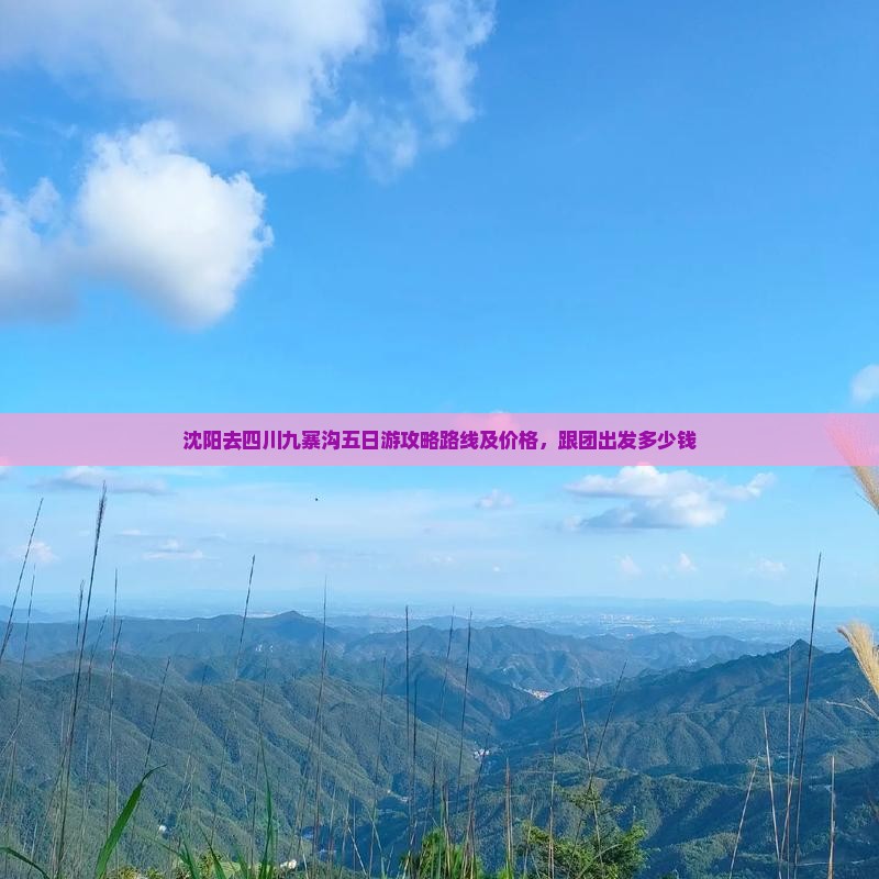 沈阳去四川九寨沟五日游攻略路线及价格，跟团出发多少钱