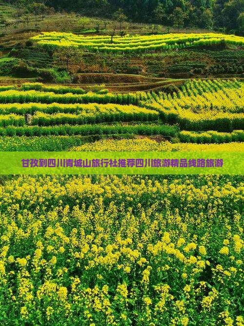 甘孜到四川青城山旅行社推荐四川旅游精品线路旅游