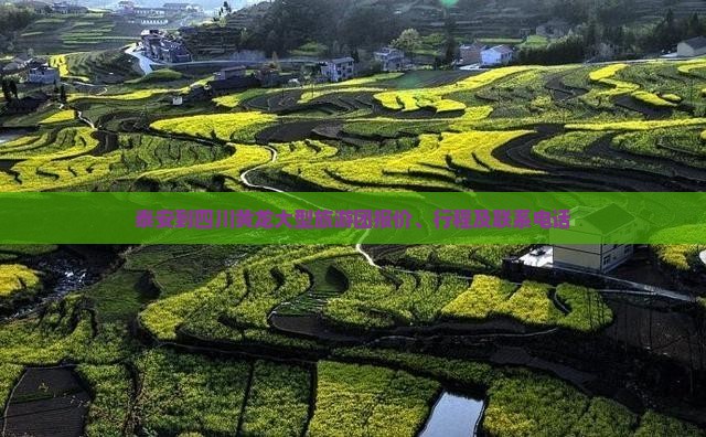 泰安到四川黄龙大型旅游团报价、行程及联系电话