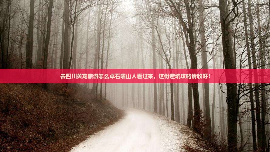 去四川黄龙旅游怎么卓石嘴山人看过来，这份避坑攻略请收好！