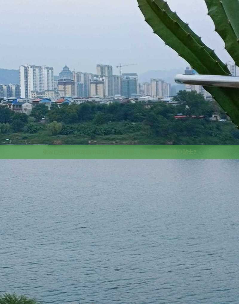 张家口至四川黄龙旅游攻略：门票价格、购买方式及旅游小贴士？