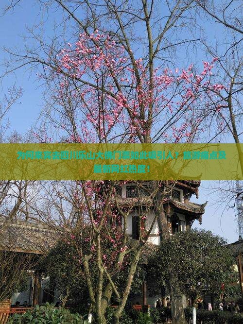 为何来宾去四川乐山大佛门票如此吸引人？旅游痛点及最新网红热度！