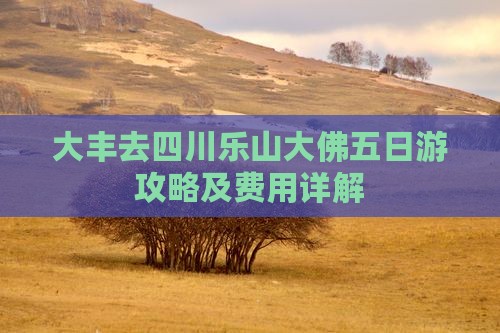 大丰去四川乐山大佛五日游攻略及费用详解