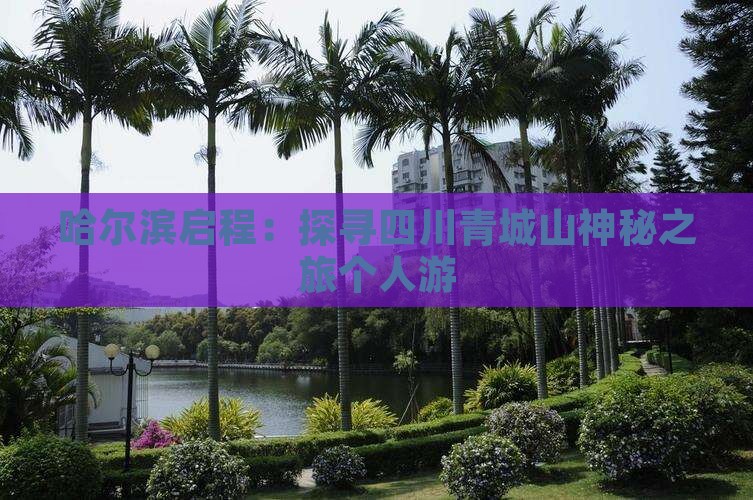 哈尔滨启程：探寻四川青城山神秘之旅个人游