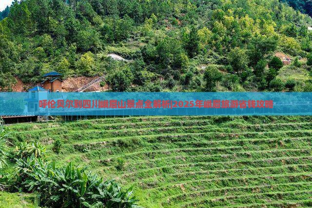 呼伦贝尔去四川峨眉山景点
