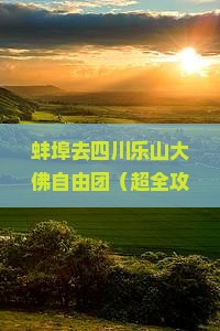 蚌埠去四川乐山大佛自由团