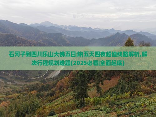 石河子到四川乐山大佛五日游